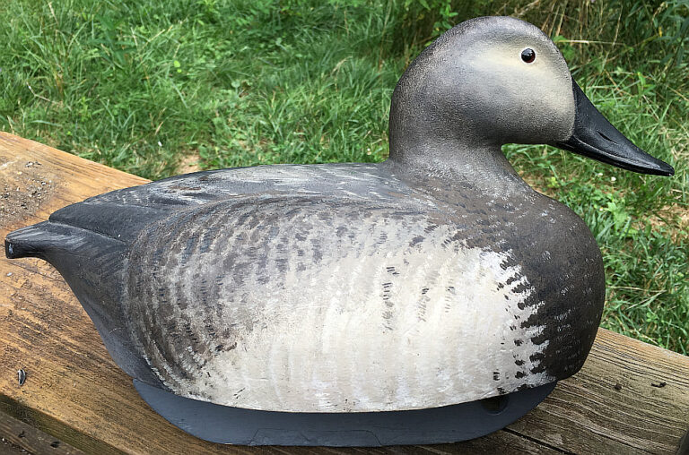 LL Bean Coastal & Soule Decoys for Sale Dales Decoy Den
