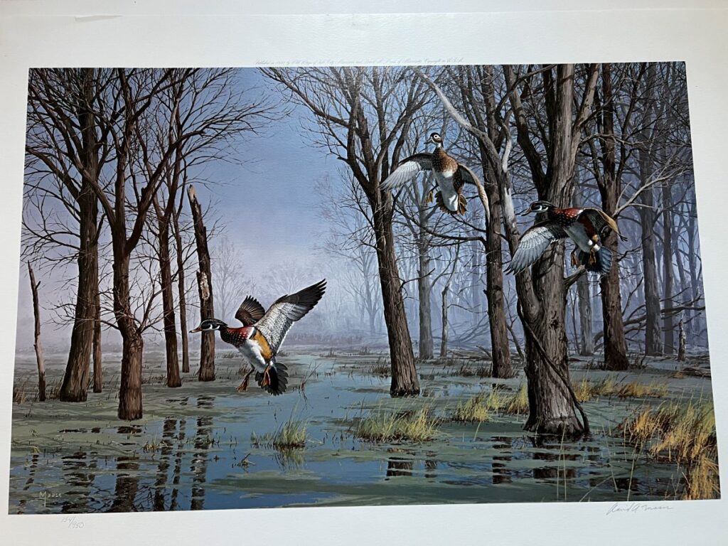 A painting depicting three ducks flying over a flooded woodland with leafless trees and a distant misty horizon.